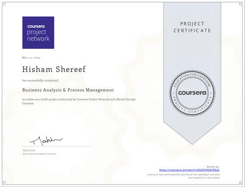 Business Analysis and Process Business Analysis and Process